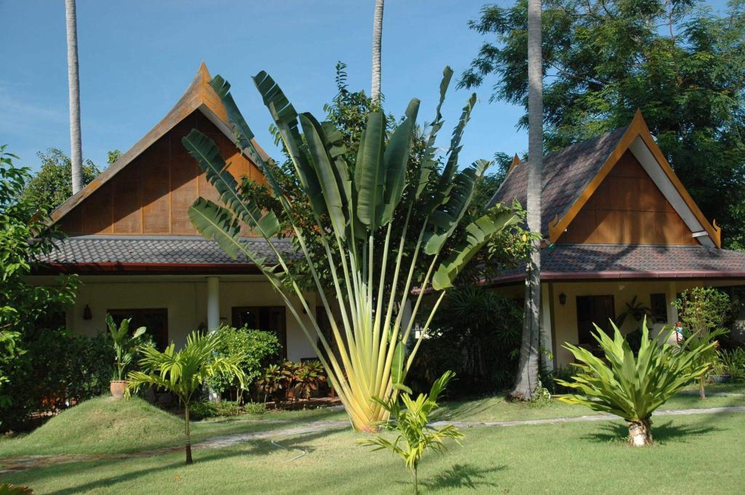 Palm Garden Resort Rawai Luaran gambar