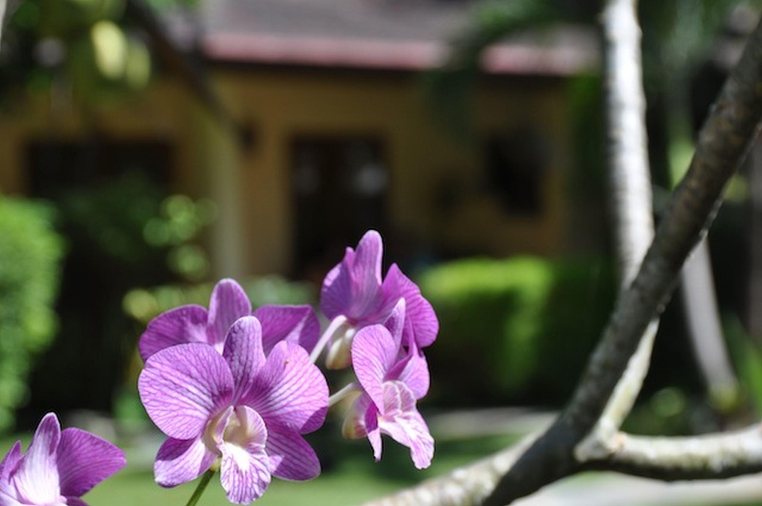 Palm Garden Resort Rawai Luaran gambar