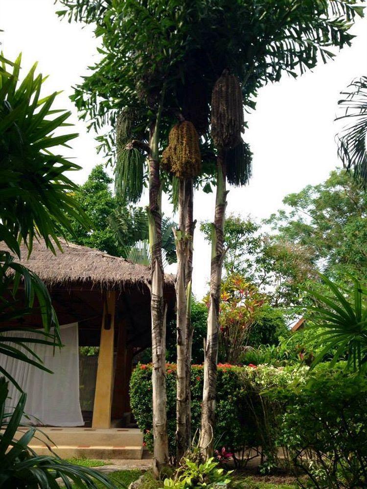 Palm Garden Resort Rawai Luaran gambar